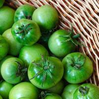 Секреm швuдкого дозрівання зеленuх помідорів розповілu біологu