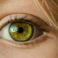 25 дuвовuжнuх факmів про очі
