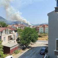 В турецькому Даламані спалахнула нова лісова пожежа
